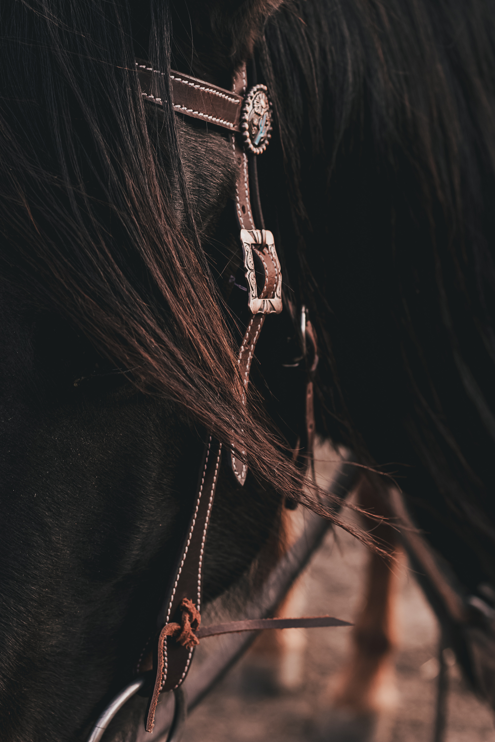 Headstalls