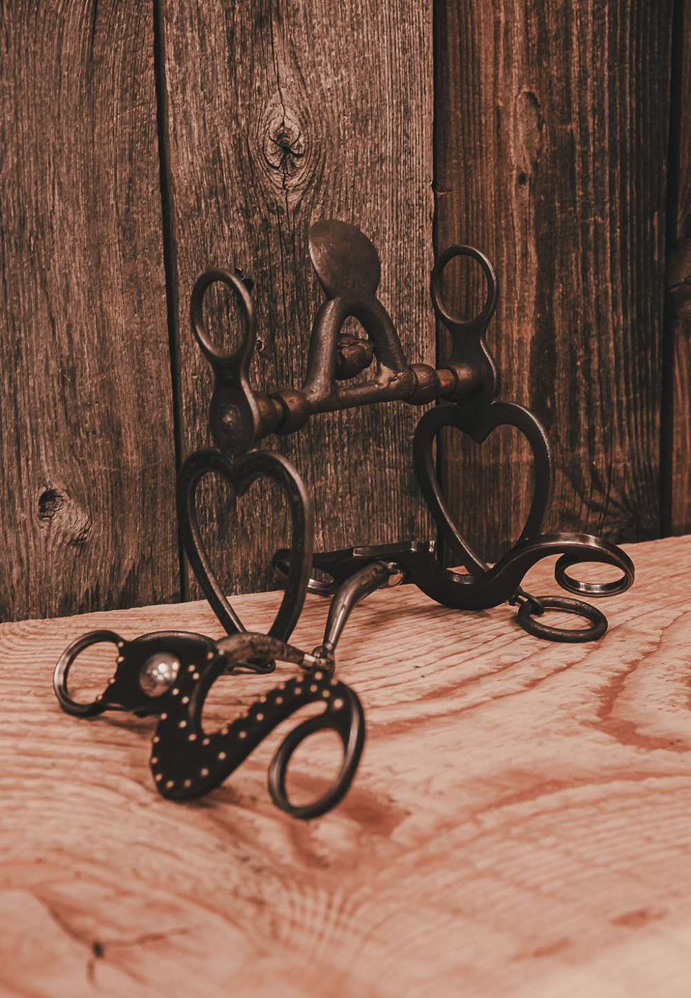 Horse Bits / Curb Straps