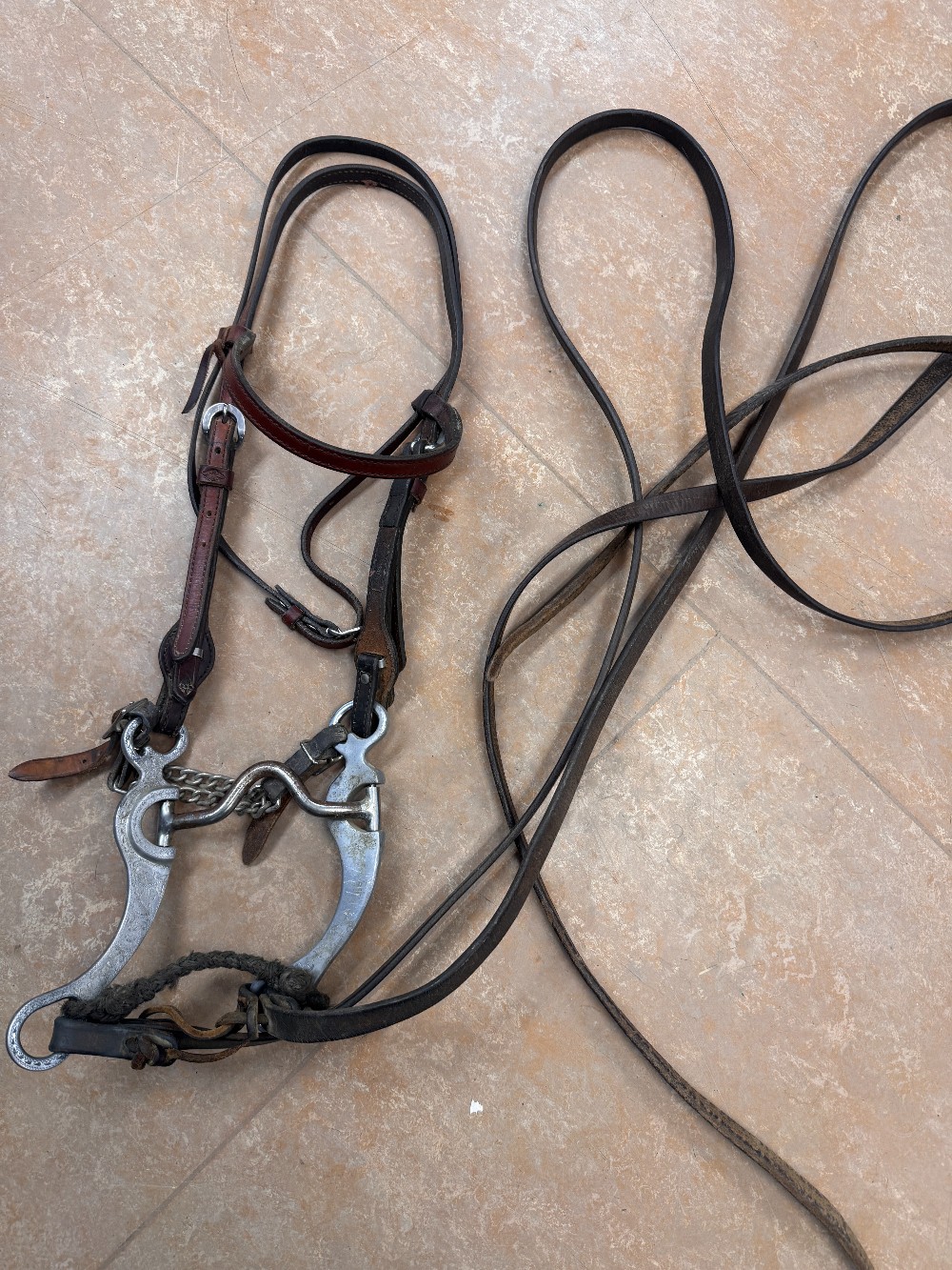 Horse Bits / Curb Straps