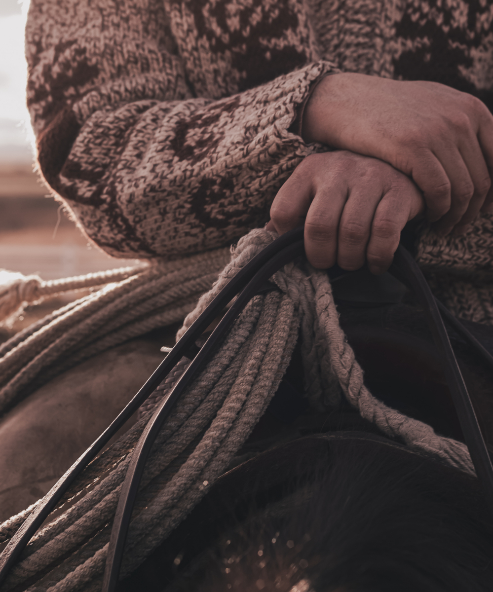 Reins