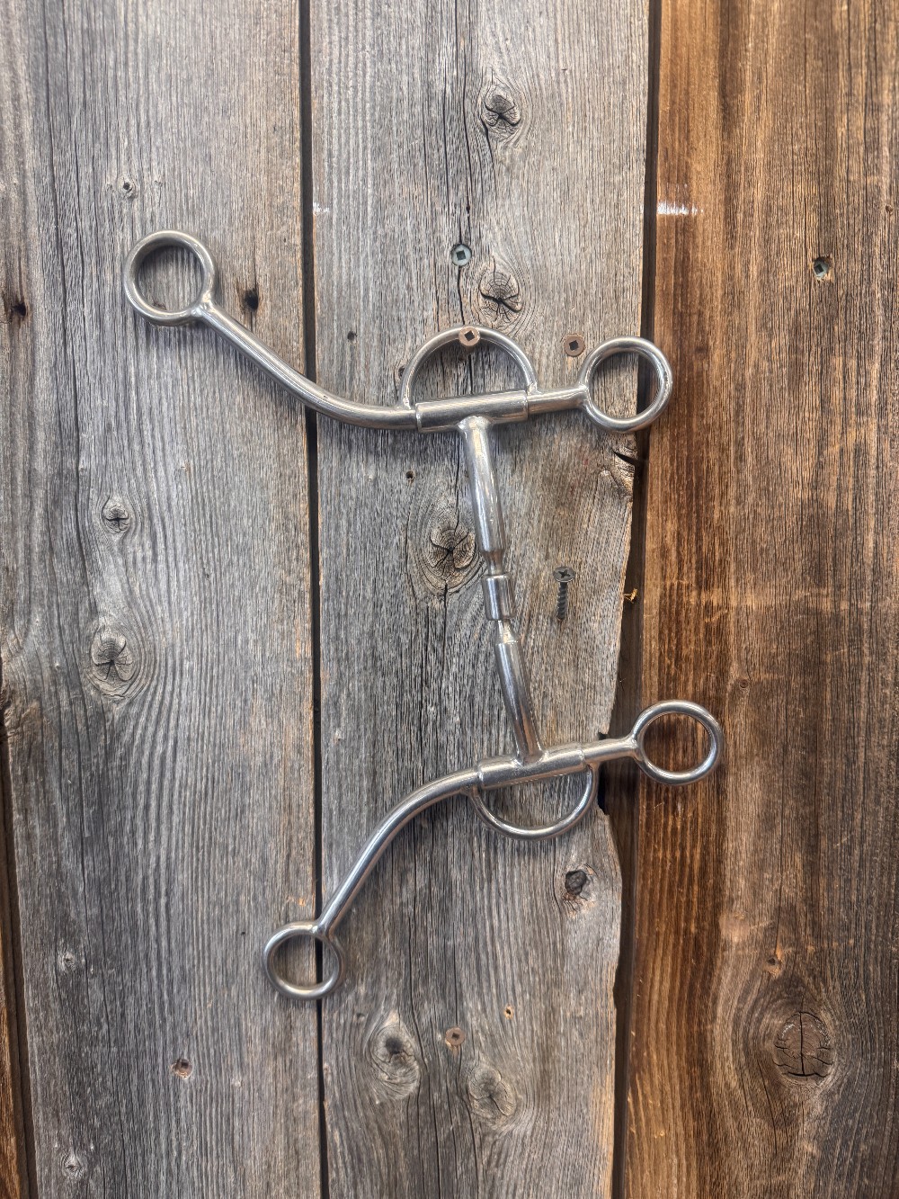 Horse Bits / Curb Straps