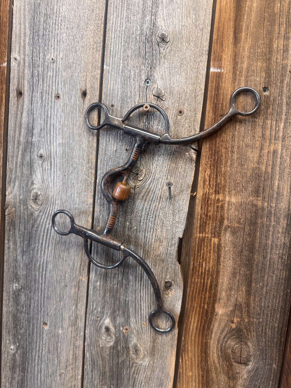 Horse Bits / Curb Straps