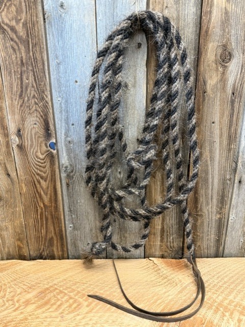 Reins