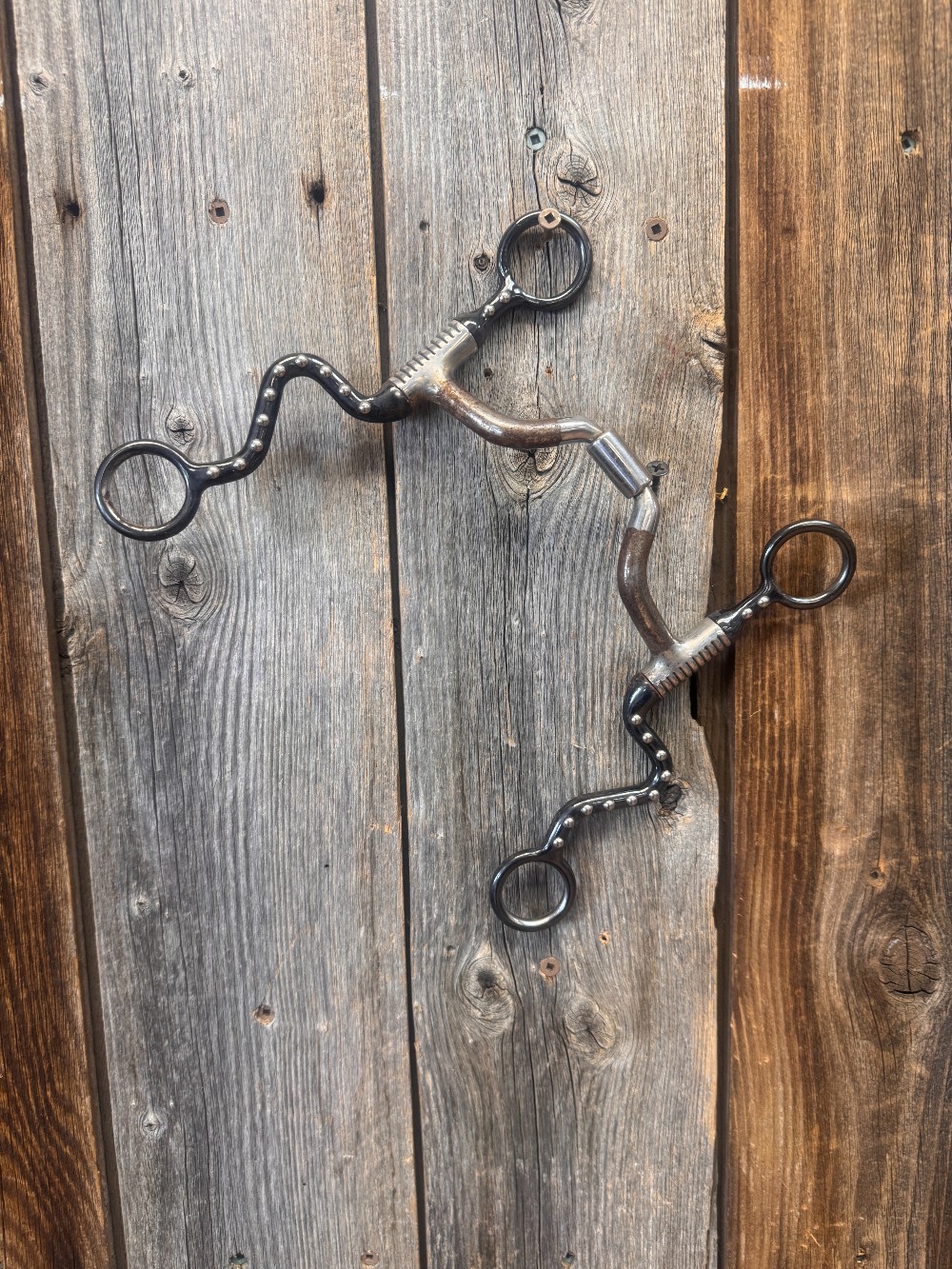 Horse Bits / Curb Straps