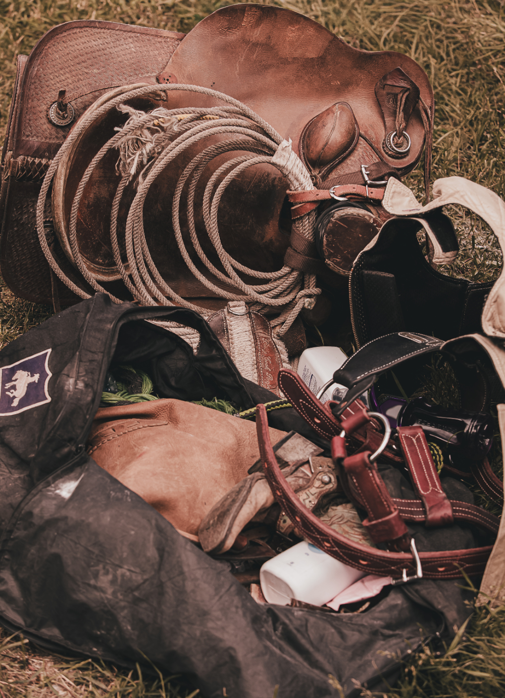 Rodeo and Show Gear