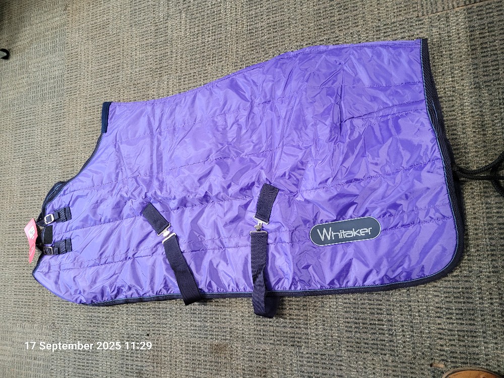 Whitaker Stable Rug No Neck Size 4'9 100gm Purple BNWT