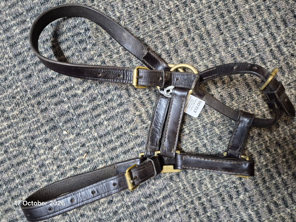 LEather Head COllar Size Pony/Cob Colour Brown USED