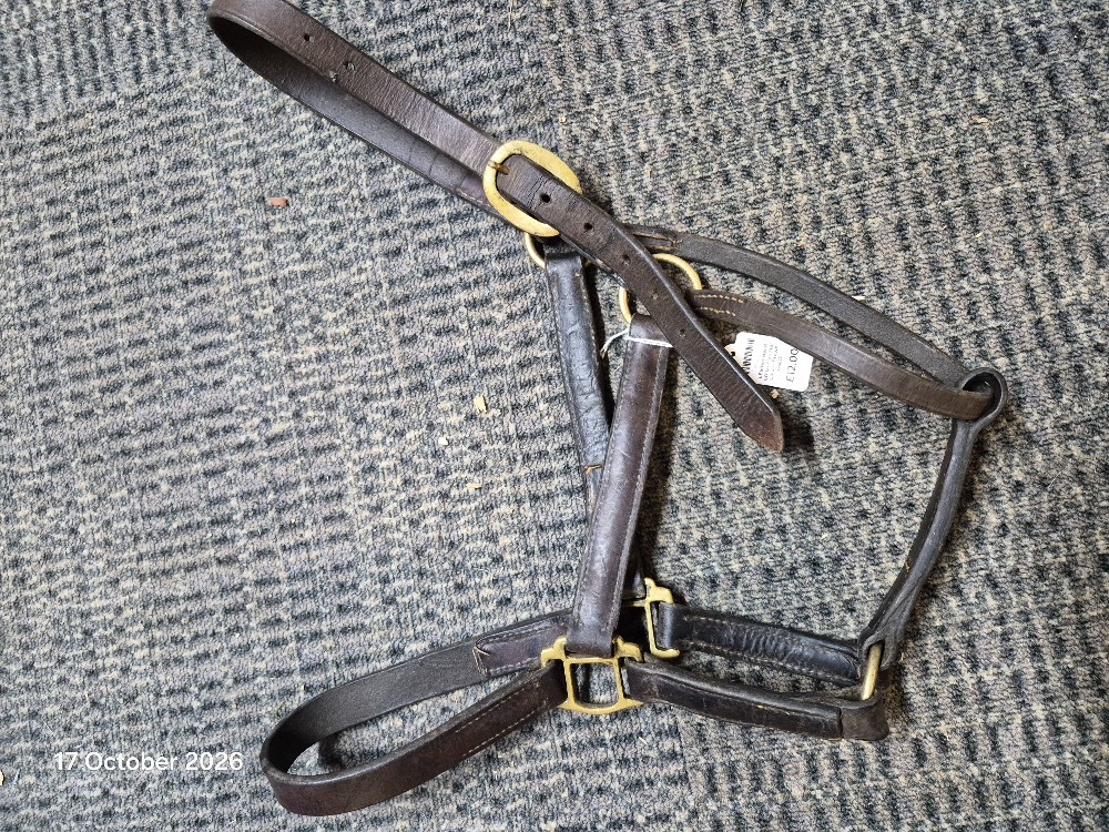 LEather Head COllar Size Full  Colour Brown USED