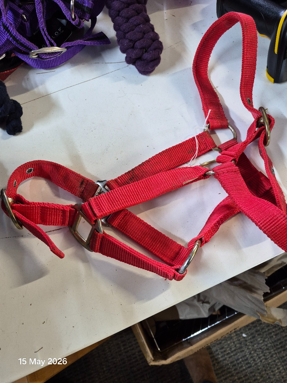 Nylon Head Collar Size Pony Colour Red USED