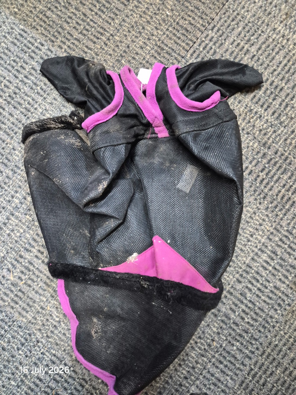 W/Beeta Deluxe Face Mask Size Warmblood Black/Pink USED