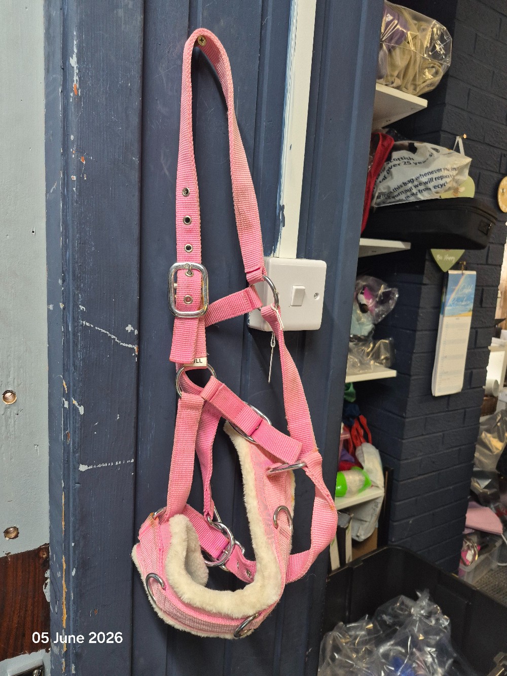 Cavasson Head Collar Size Full Colour Pink NEW