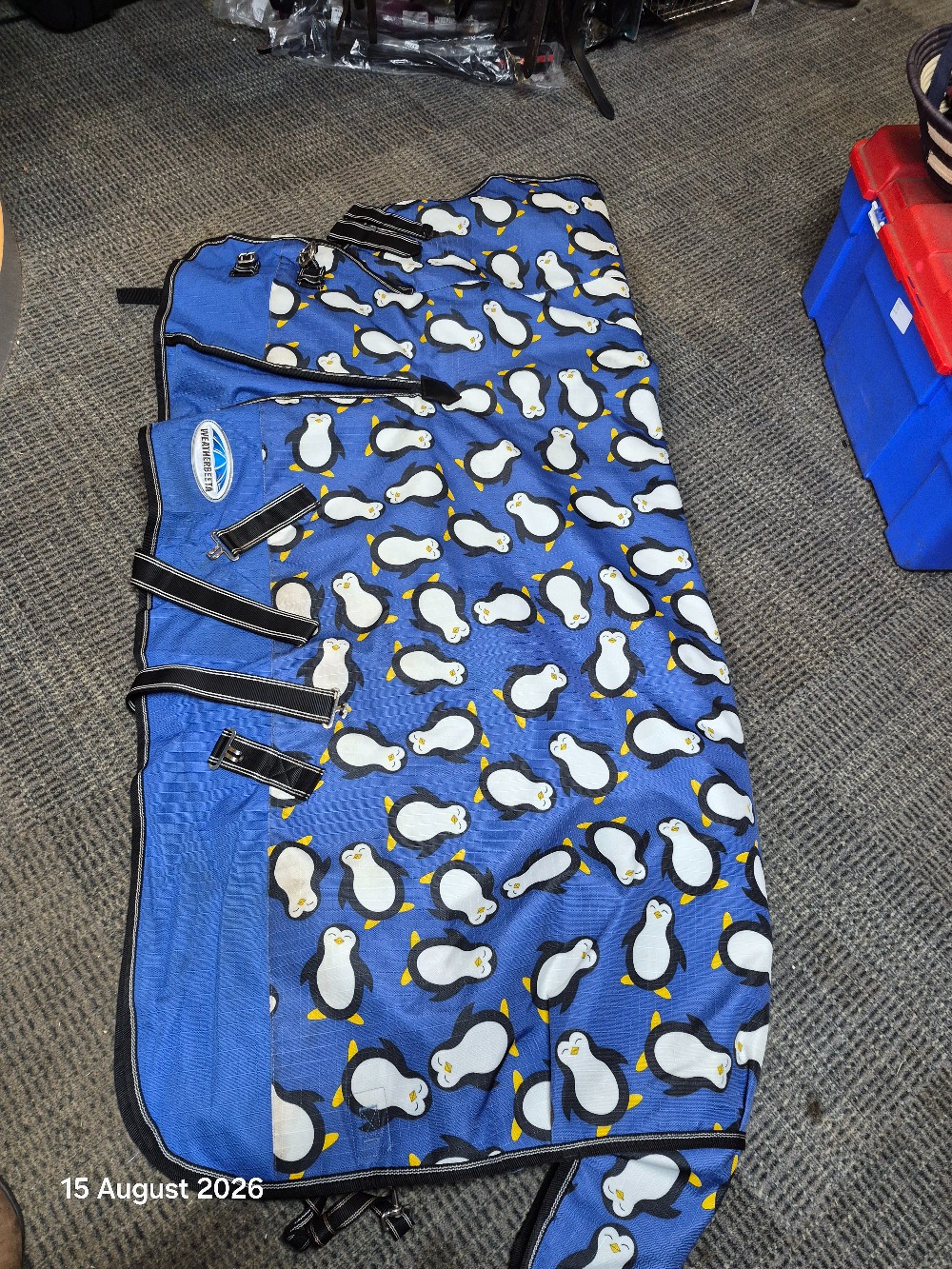 W/Beeta Comfitec Combo T/O Size 5'0 Medium Blue Penguin USED