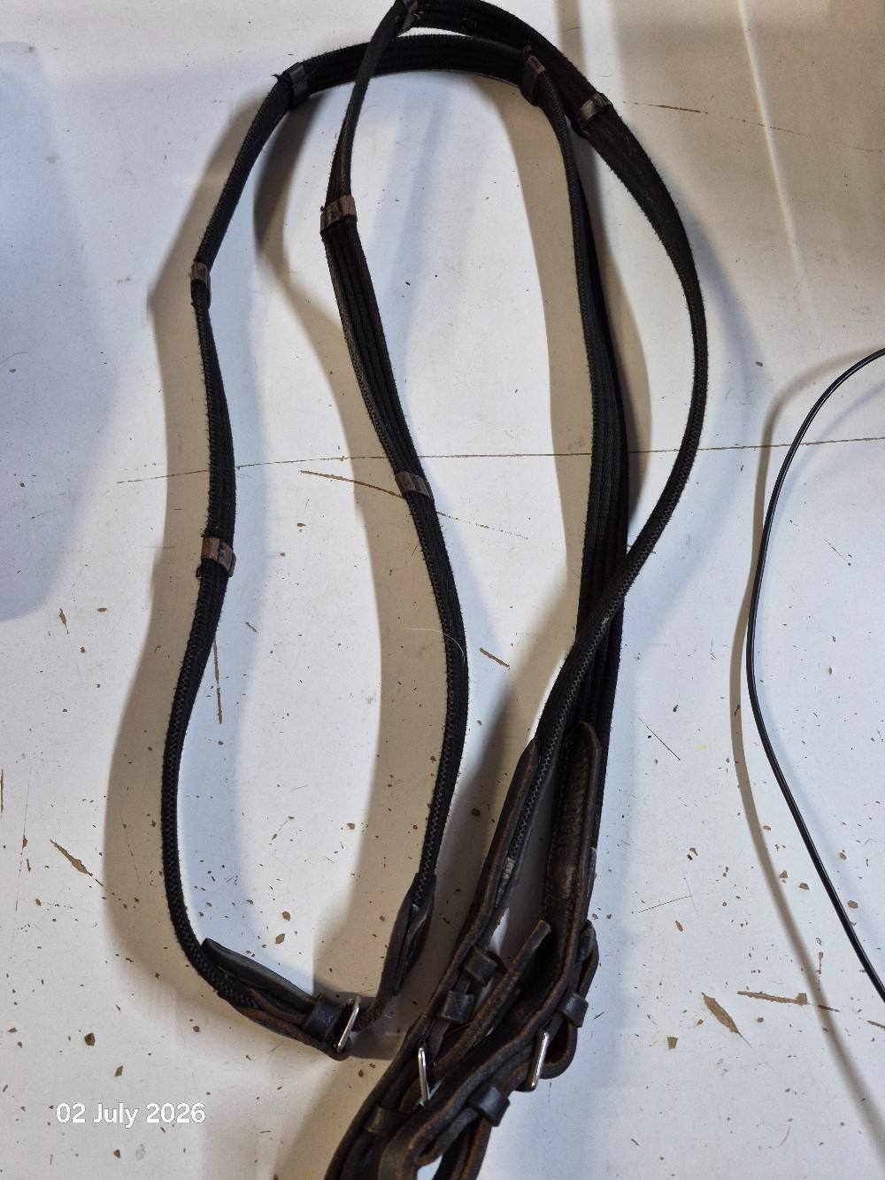 Continental Reins with Buckles Size 46