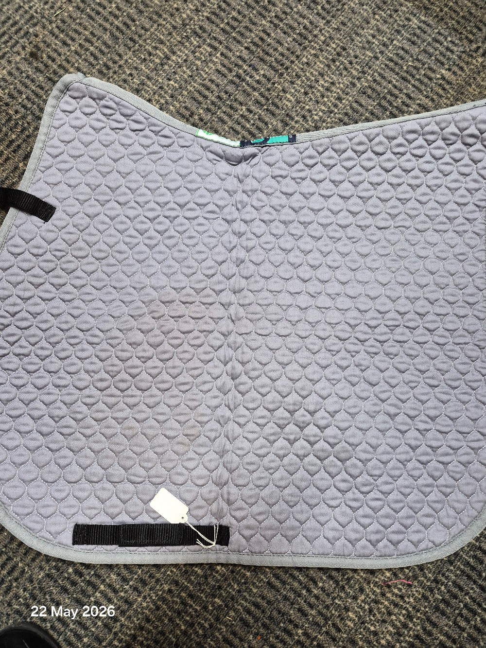 Griffin Ho Wither GP Pad Size Large Volour Grey USED