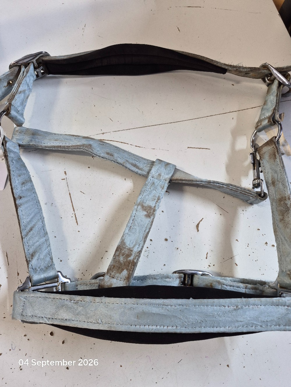 Mane Saver Head COllar Size Cob Colour Pale Blue USED