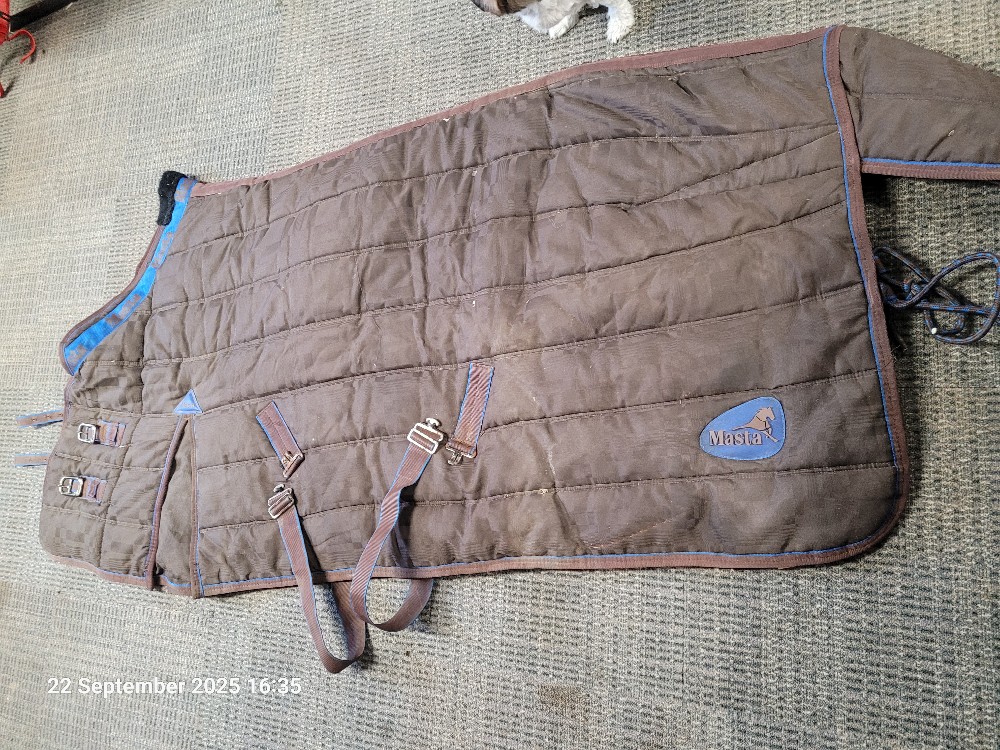 Masta Stable Rug No NEck Size 5'6 Heavy used