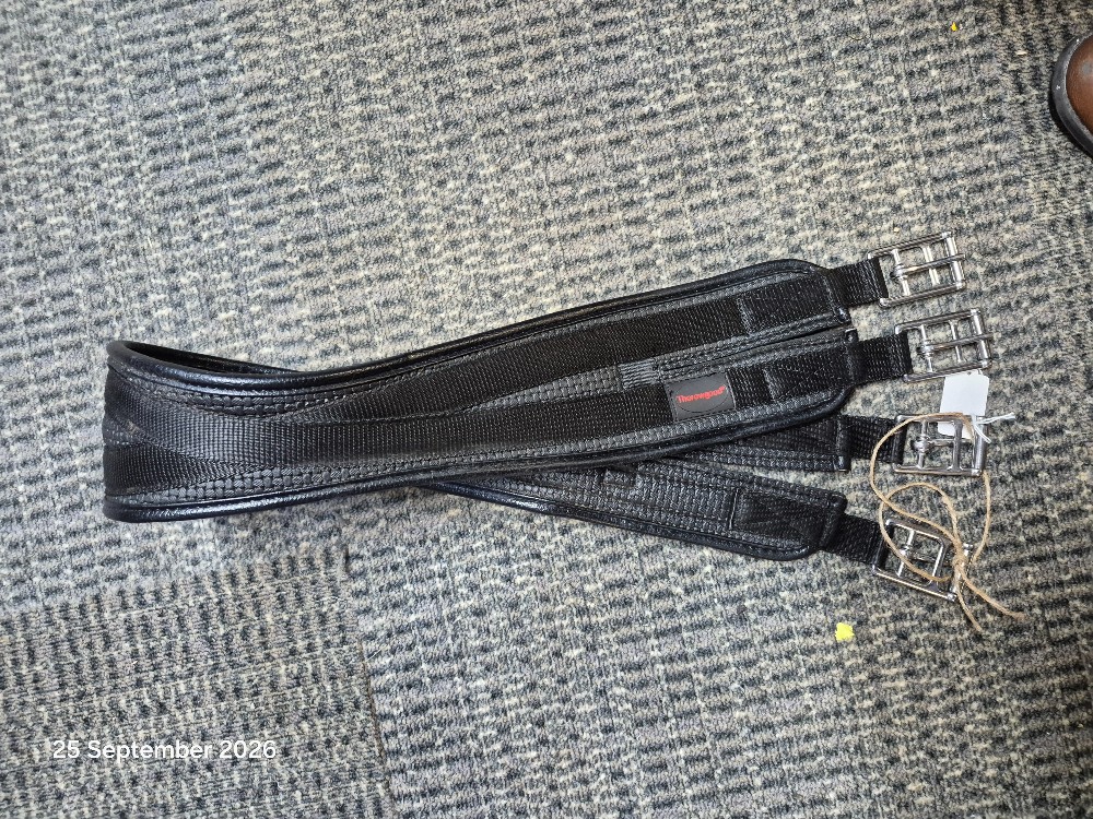 Thorogood Girth Size 42