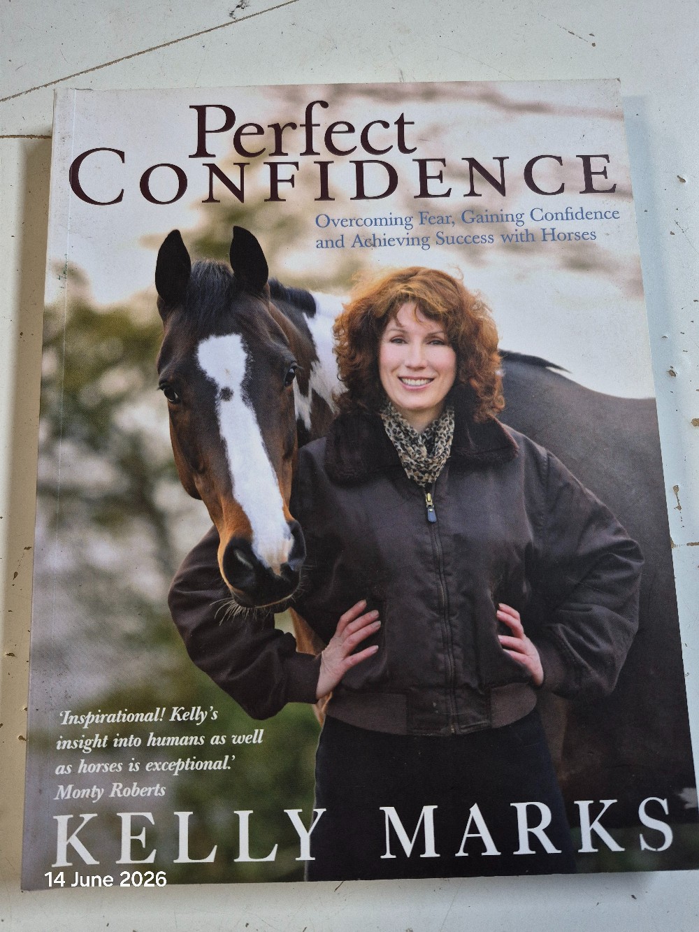 Perfect Confidence By Kelly Marks Book USED