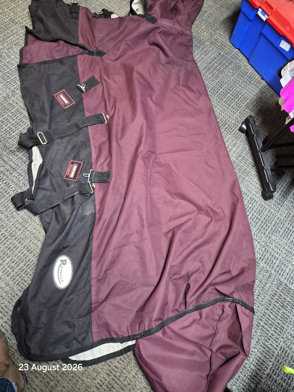 Rhinegold T/O Combo Size 6'0 No Fill Colour Burgundy USED