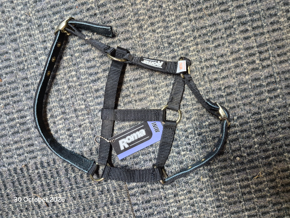 Roma Head Collar Size Mini Colour Black BNWT