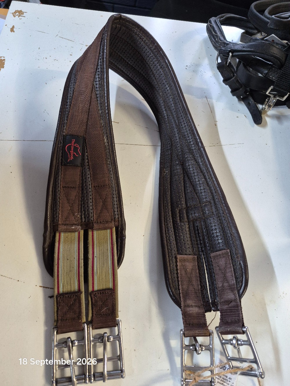 Thorogood Elasticated one side Girth Size 38