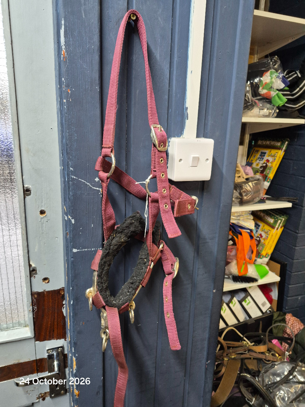 Lunge Cavasson HEad Collar Size Full Burg/Blk USED