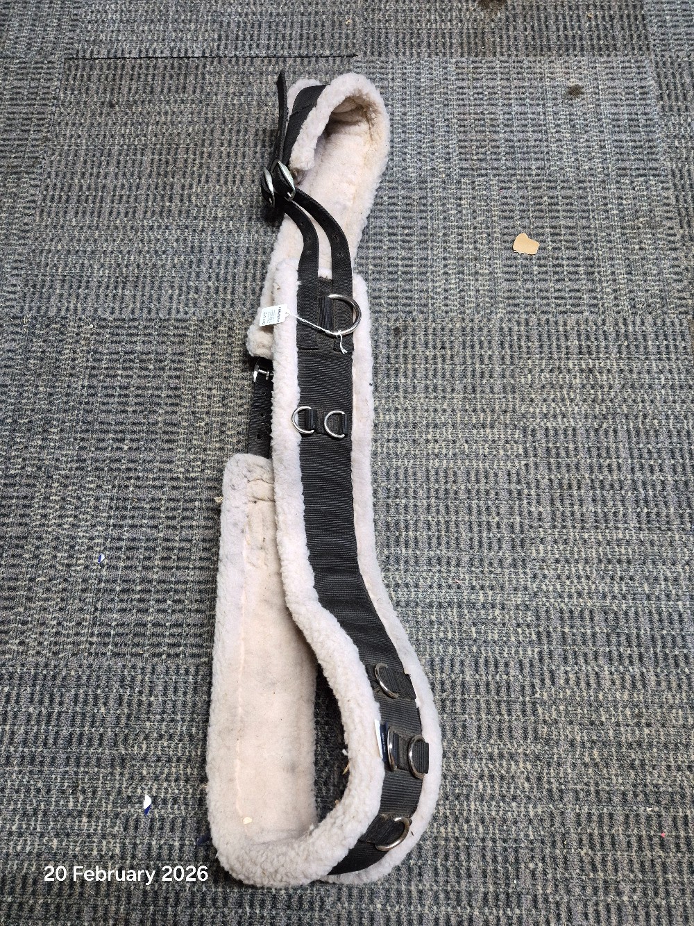 Fleece Lined Lunge Roller Size Cob/Full Black USED