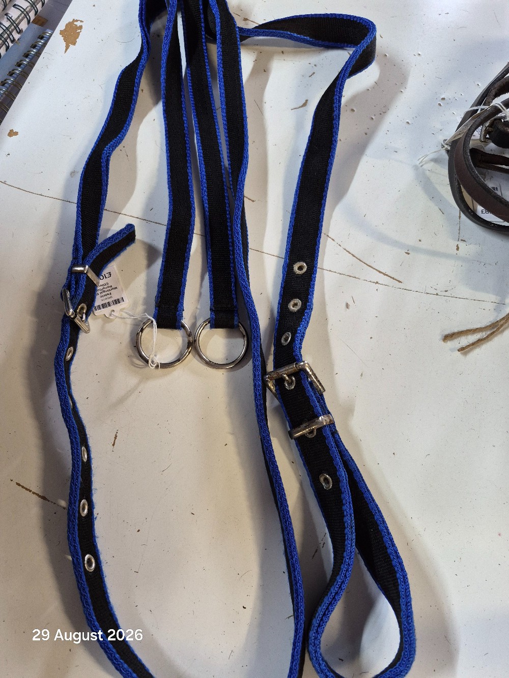 Fabric Martingal Size Pony/Cob COlour Black/Blue USED