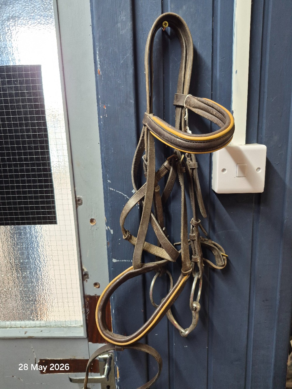 Leather Bridle & 5 1/2