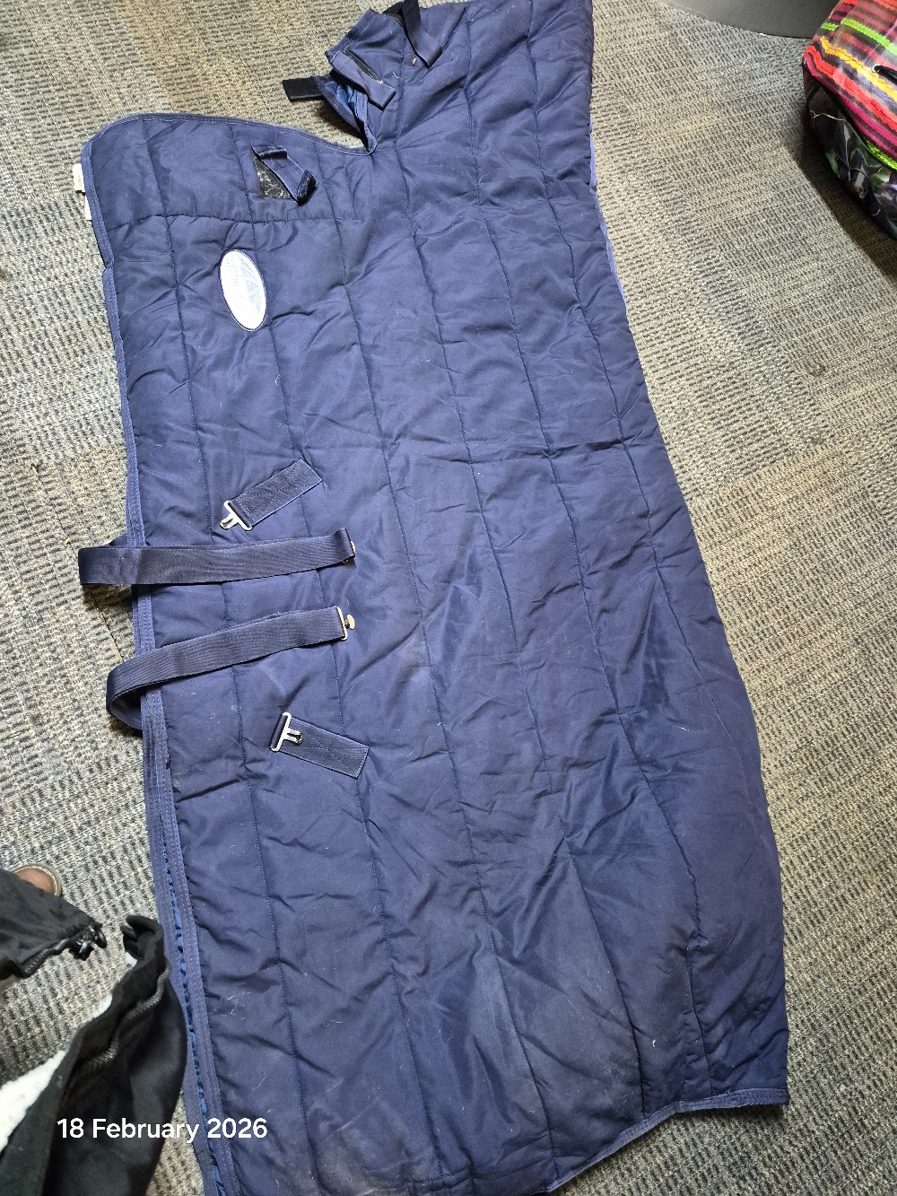 W/Beeta Rug Combo Size 6'0 150-200gm Navy USED