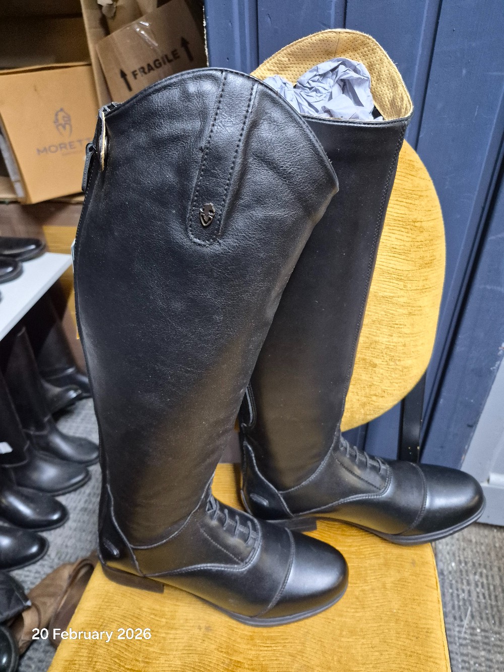 Moretta Lusia Tall Riding Boot Size 9 Euro 43 Wide Calf BNWT