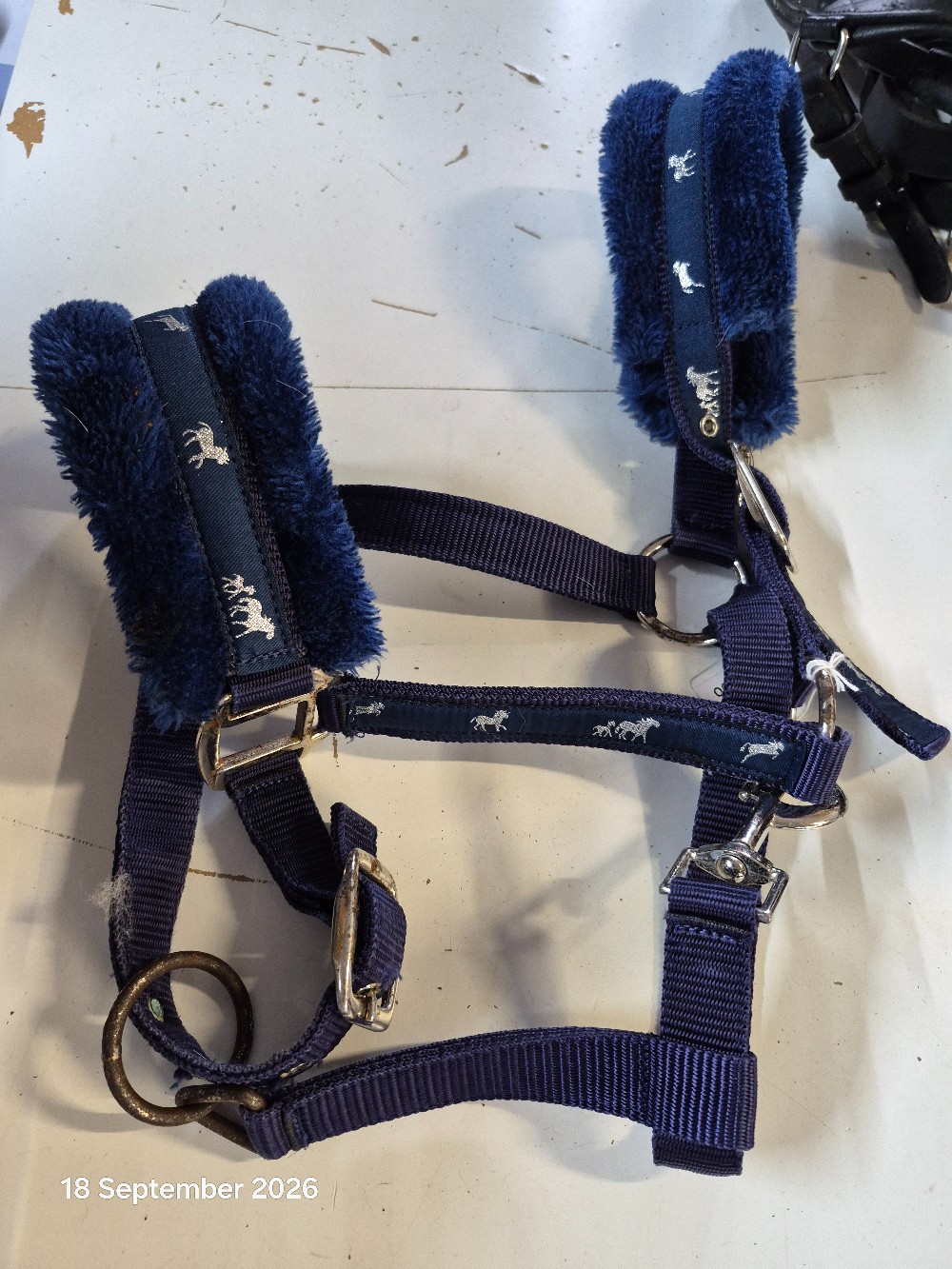 Fleece HEad Collar Size Cob Colour Navy USED