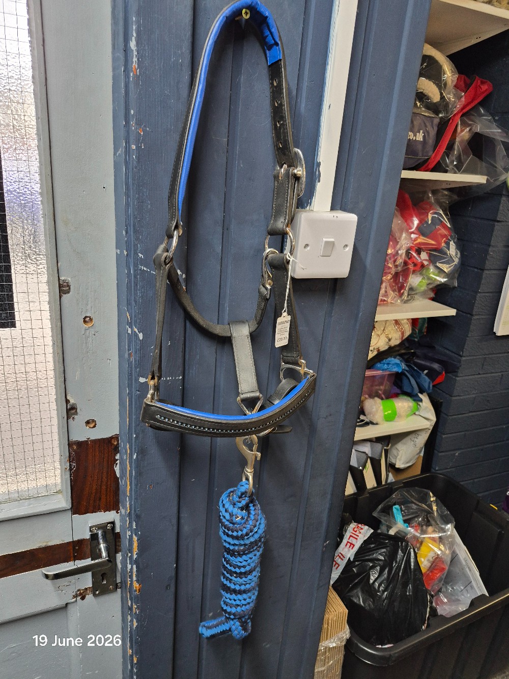 LEather HEad Collar & Lead Rope Size Pony Colour Blue/Black NEW