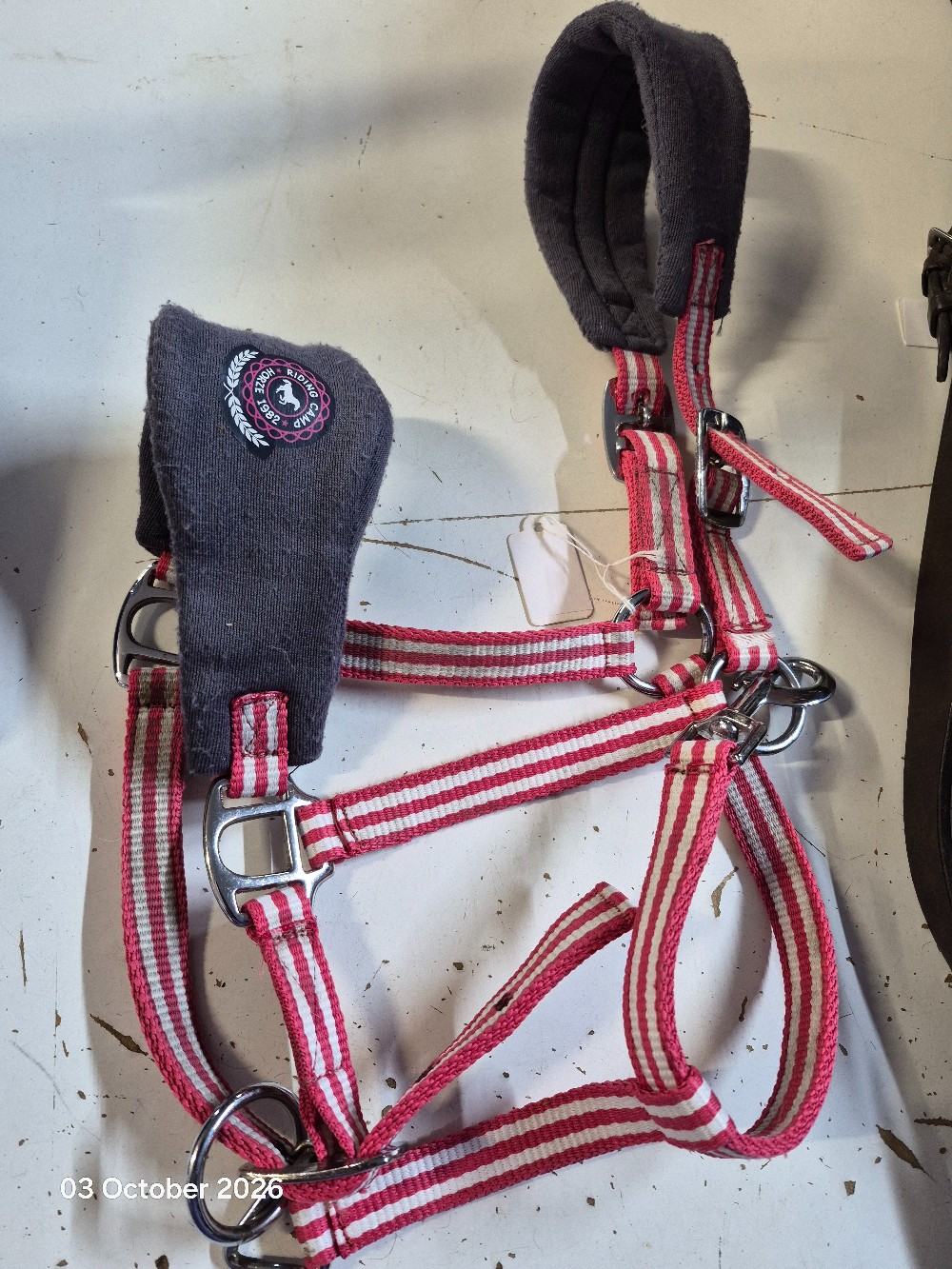 Horze Head Collar Size Pony Colour Red/White/Mauve USED