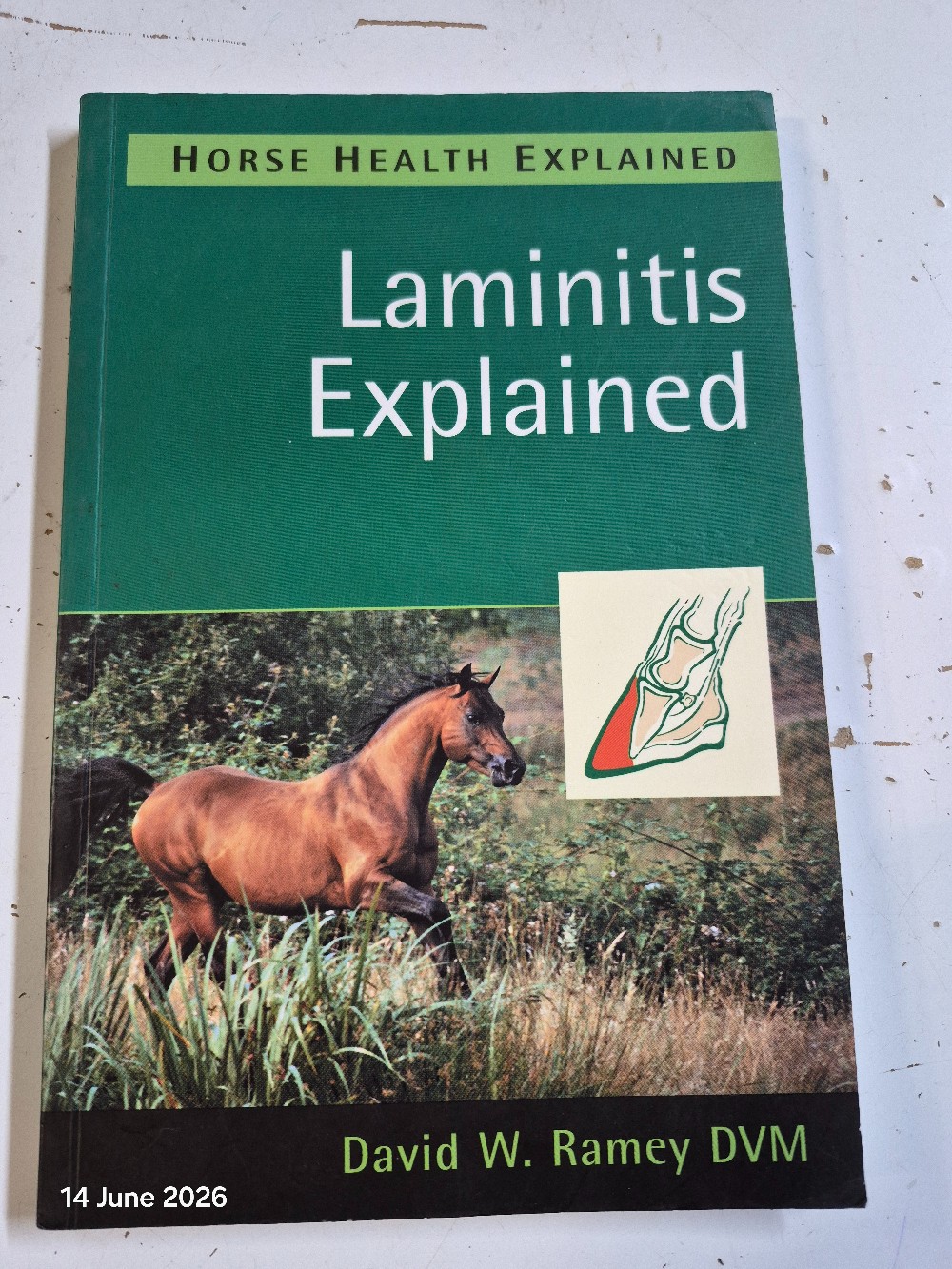 Laminitis Explained Book USED