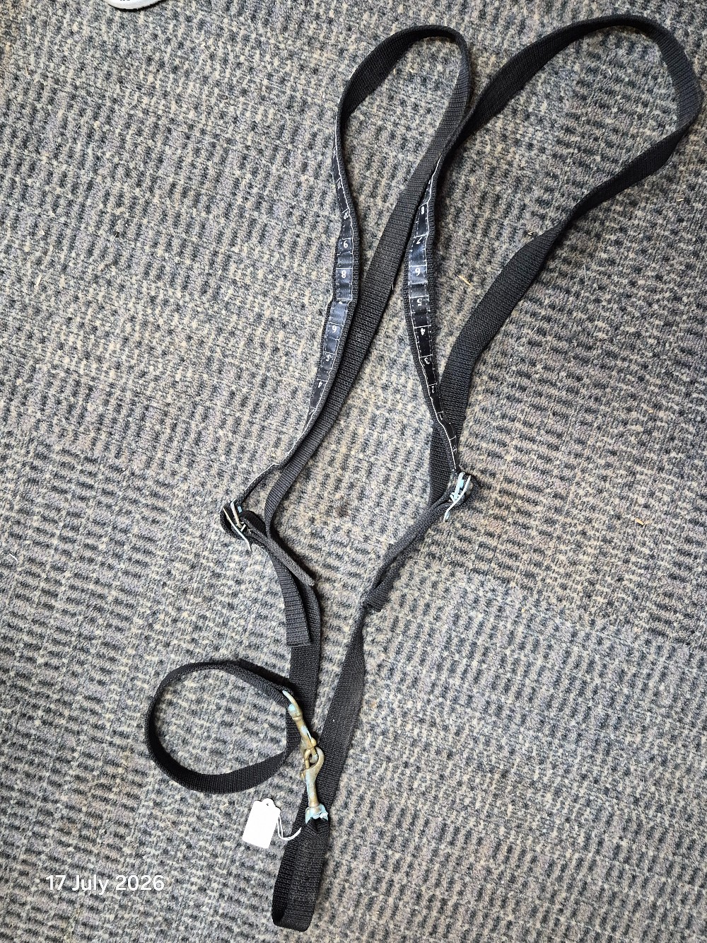 Thorogood Numbered Adjustable Nylon Reins COlour Black USED