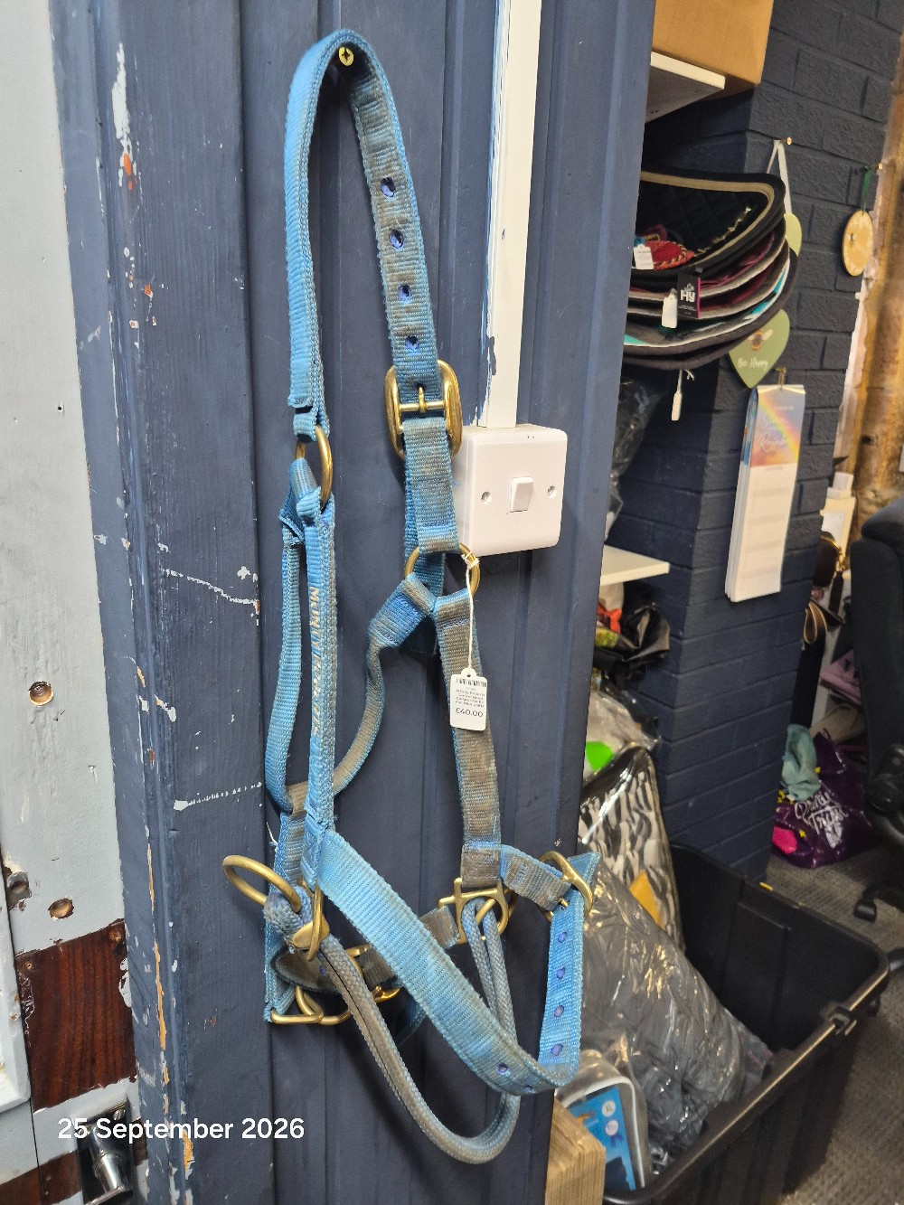 MOnty Roberts Control Head Collars Size Ex Full Blue USED