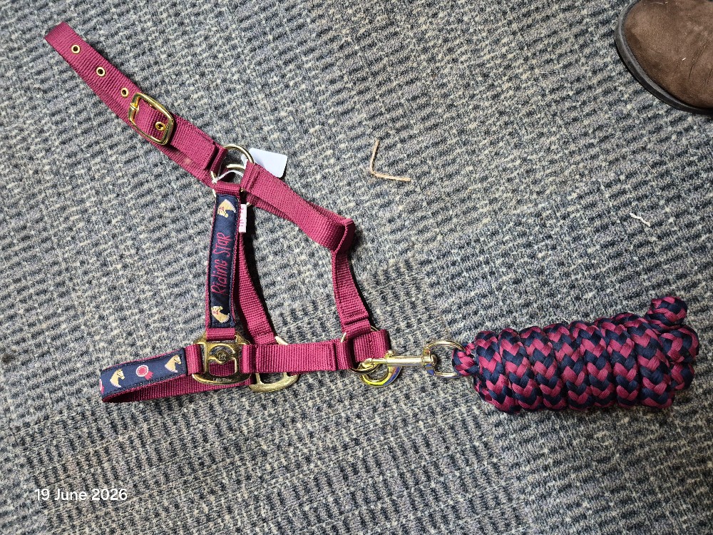 Riding Star HEad Collar & LEad Rope Size Small Pony COlour Burg NEW