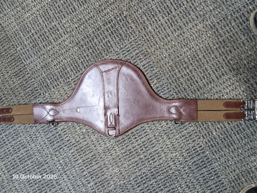 Whitaker Elasticated Stud Girth Soze 40