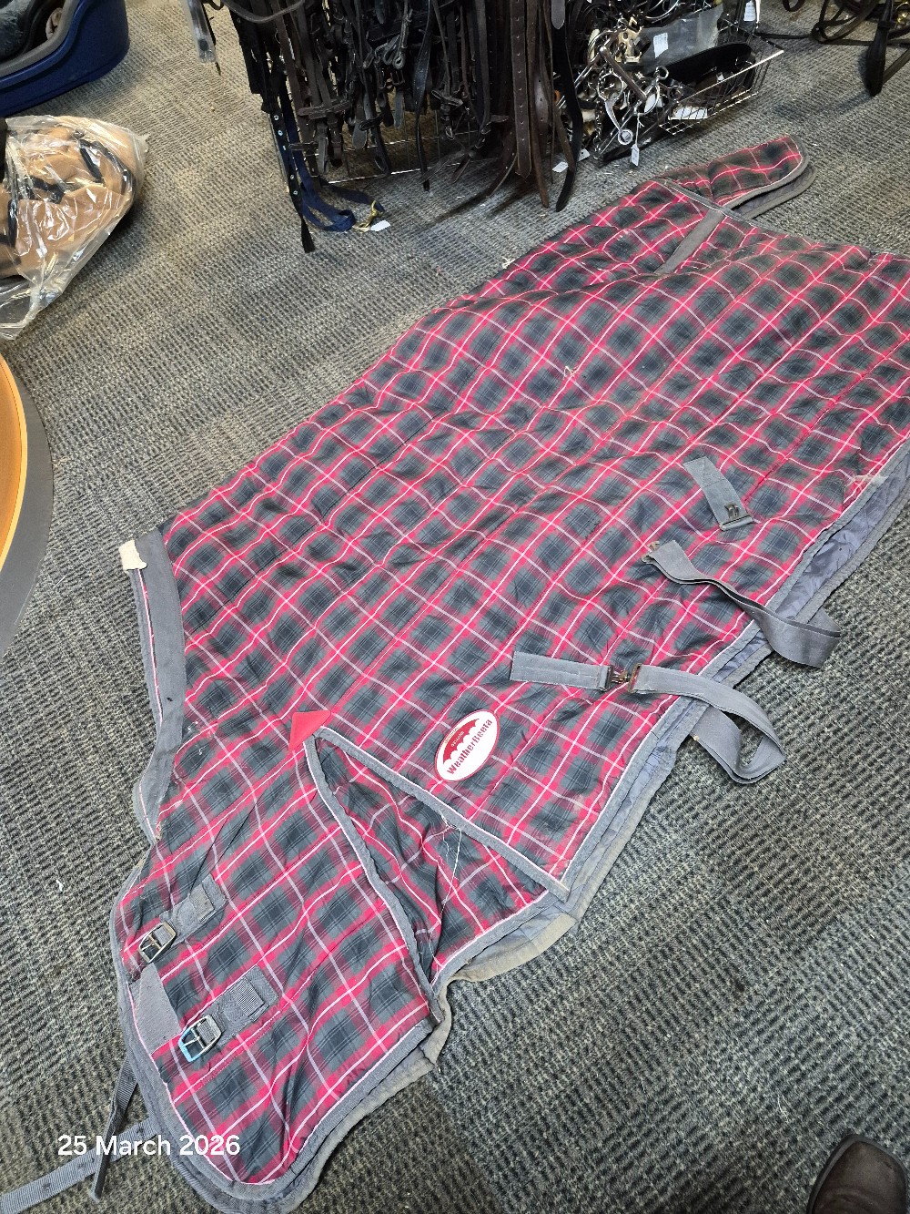 W/Beeta Stable No Neck Size 6'3 Colour Red/Grey USED