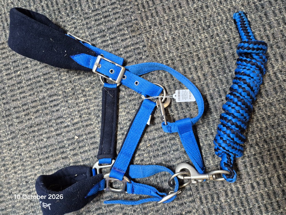 Whitaker Club Had Collar & Rope Size Pony Royal Blue USED