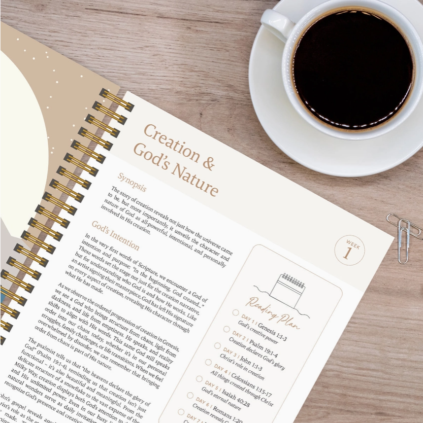 The Bible In A Year: 52-Week Study - BLUE