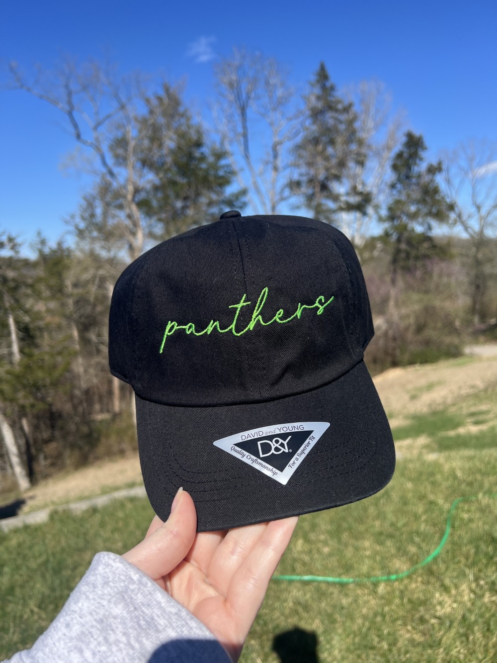 Panthers Relaxed Hat
