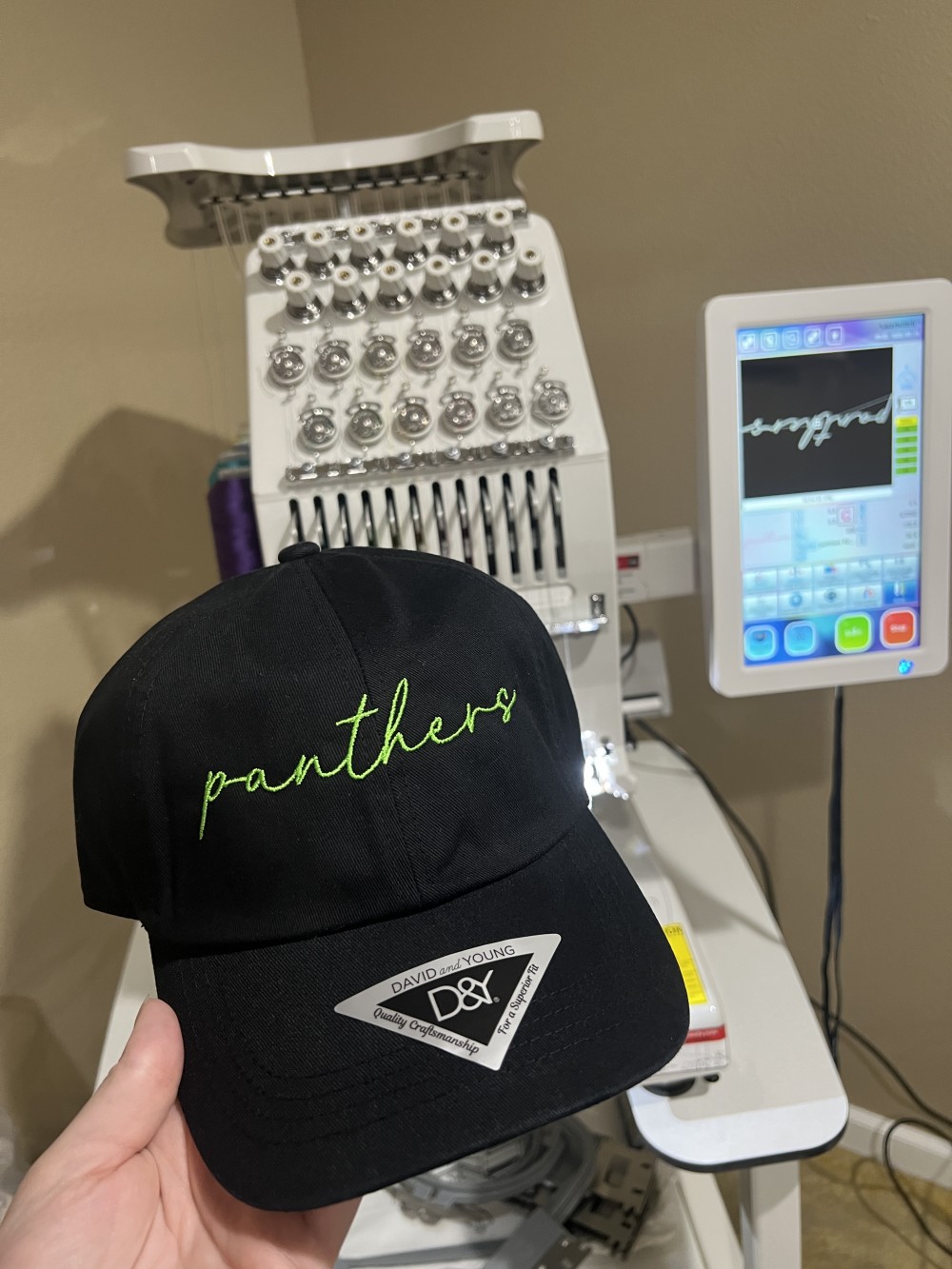 Panthers Relaxed Hat