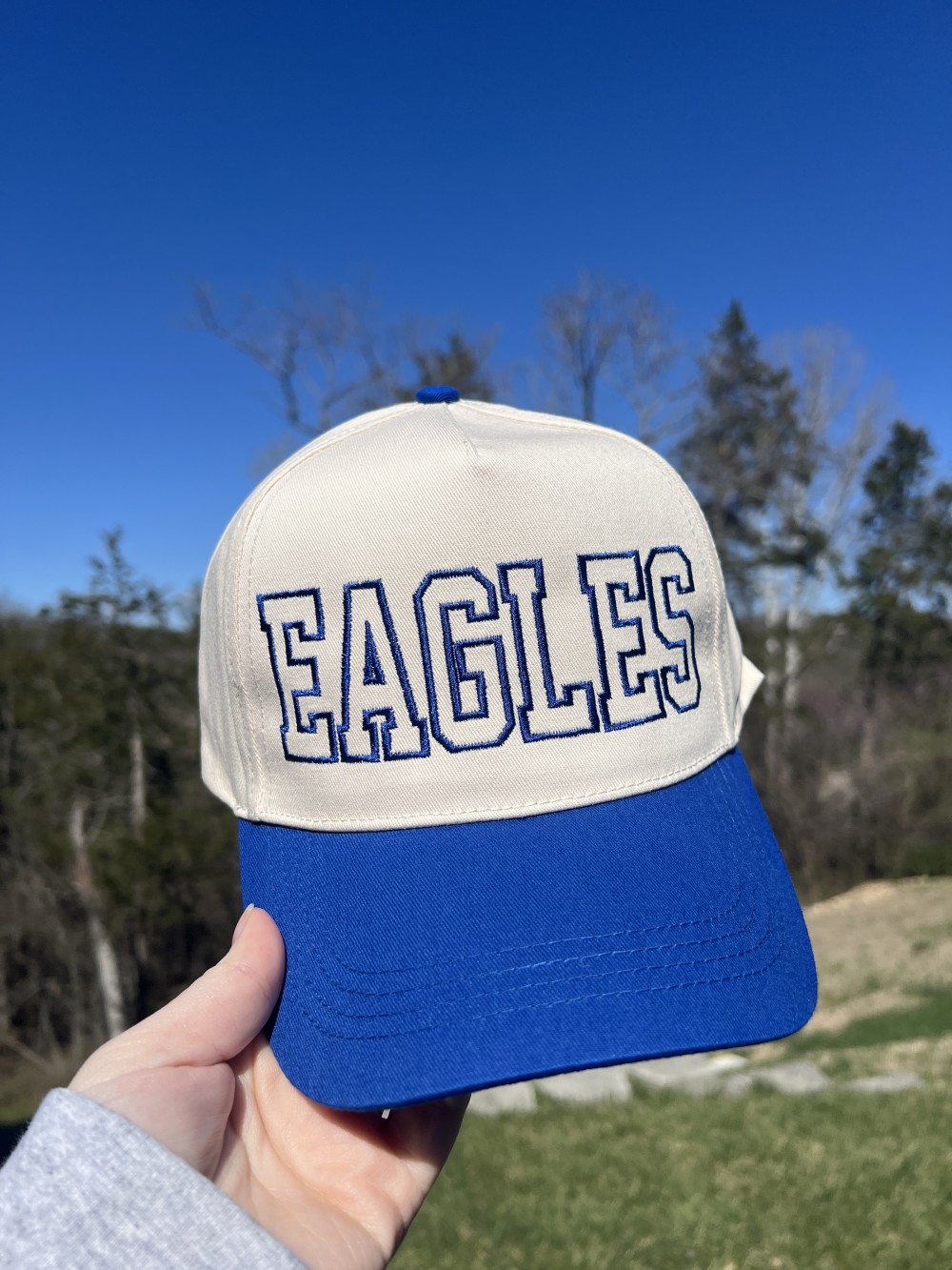 Varsity Eagles Structured Hat