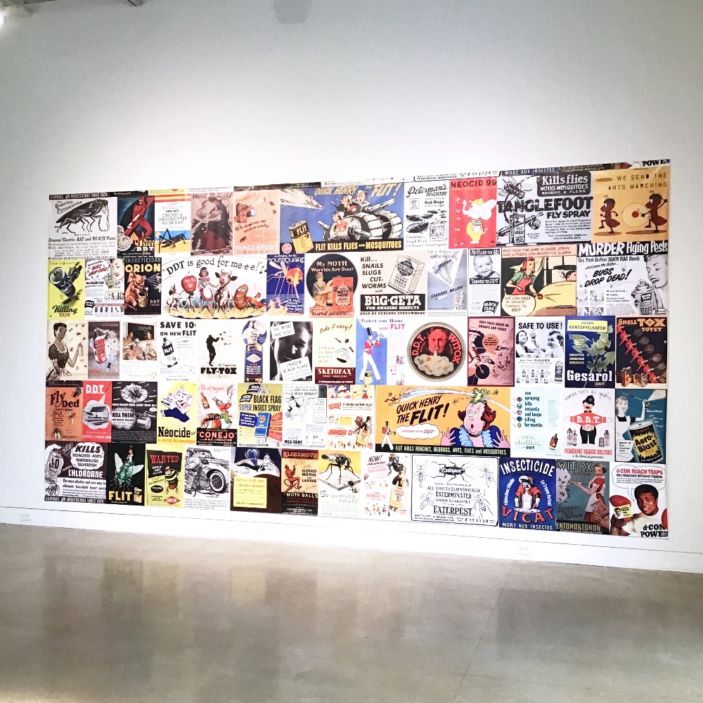 Shawn Smith: Entangled Ecologies