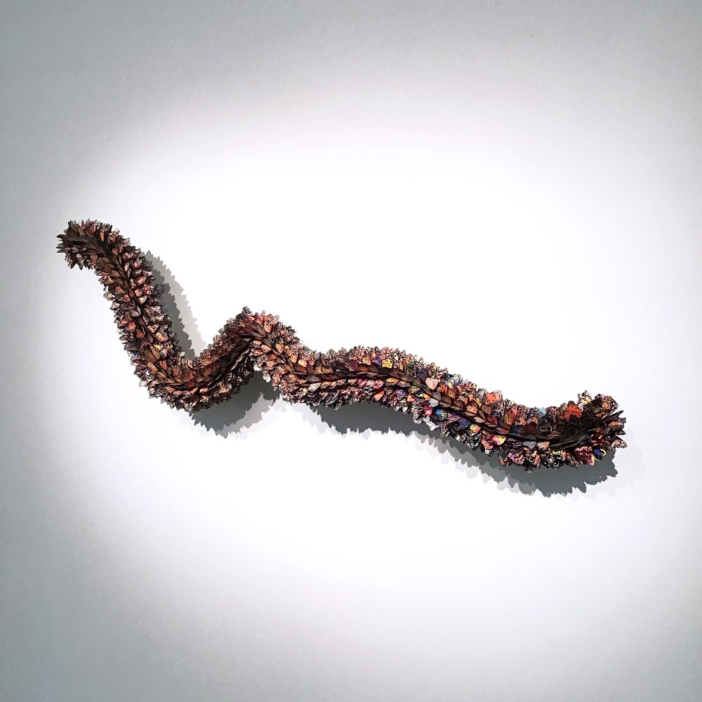 Shawn Smith: Entangled Ecologies