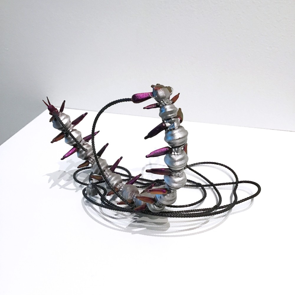 Shawn Smith: Entangled Ecologies