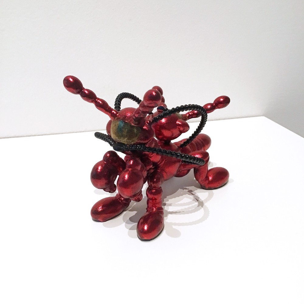 Shawn Smith: Entangled Ecologies