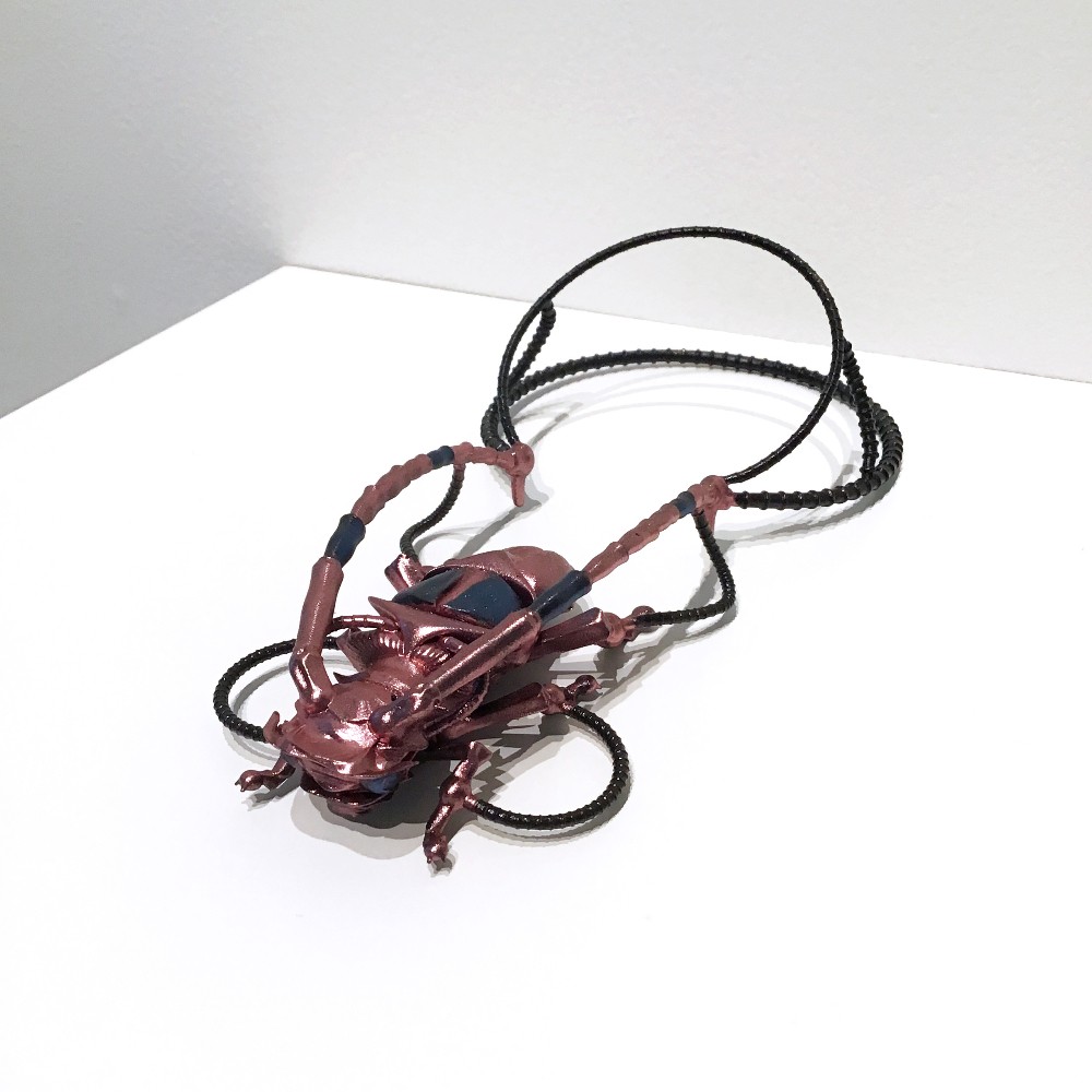 Shawn Smith: Entangled Ecologies